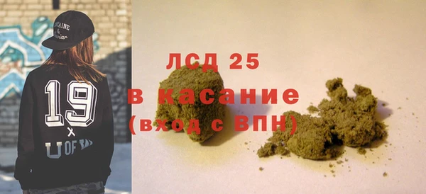 гашик Горняк