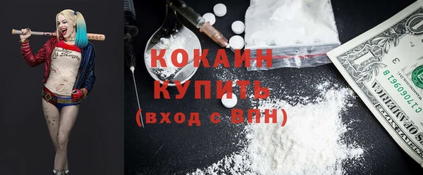 гашик Горняк
