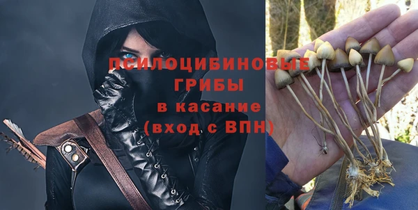 соль курить ск Горно-Алтайск