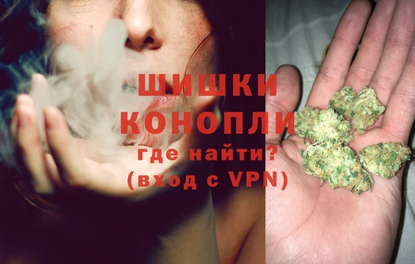 spice Волосово